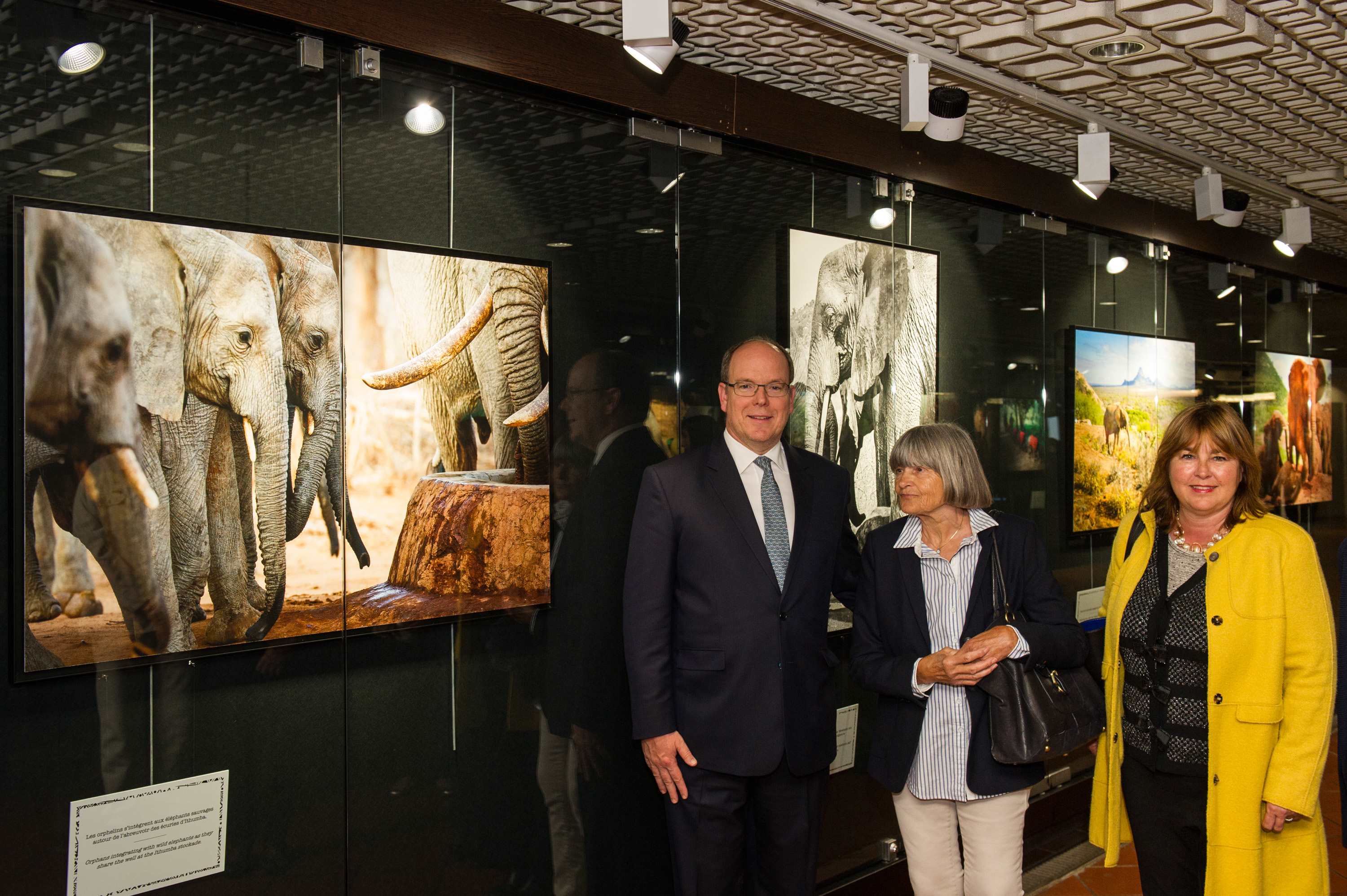 Il Principe Alberto di Monaco ha visitato la mostra Salvate gli elefanti d'Africa