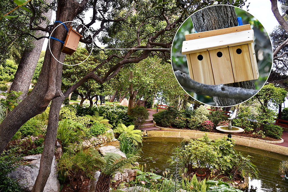 Nei Giardini di Monaco Installate le Cassette Nido per gli Uccelli