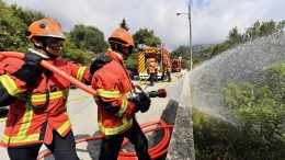 Lotta agli Incendi Boschivi: l'Allenamento dei Vigili del fuoco di Monaco