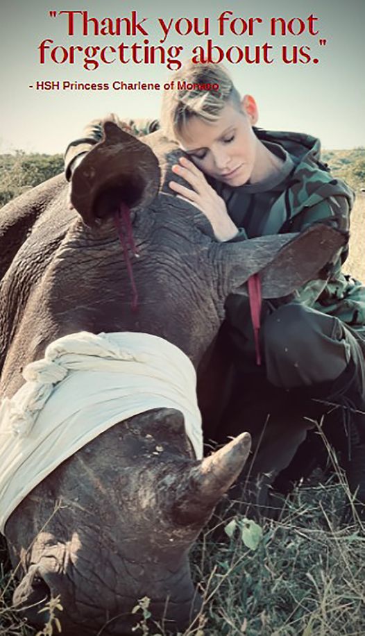 Charlene di Monaco e la Campagna di Protezione dei Rinoceronti