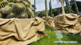 I cactus di Monte Carlo a Euroflora, Conclusa Domenica 8 Maggio