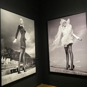 Helmut Newton in Mostra a Monte Carlo
